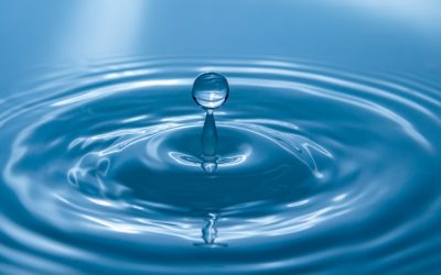 WATER/SEWER ONLINE PAYMENT SYSTEM TRANSITION: No online payments accepted until further notice.