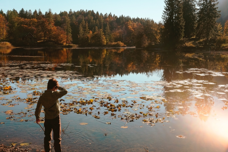 NEW YORK STATE OFFERS “FREE FISHING DAY:  Sat., 9/26/2026