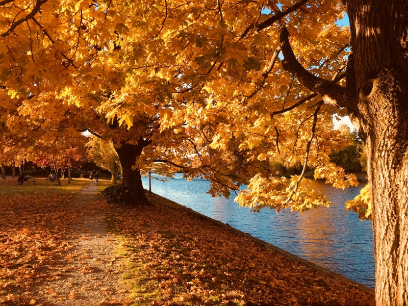 TOWN TALK NEWSLETTER – Fall 2025