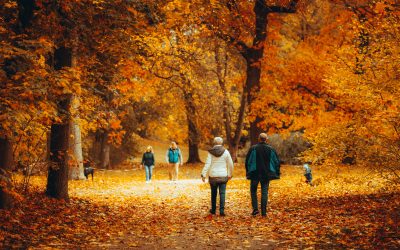 UPCOMING SENIOR CITIZEN ACTIVITIES: Fall 2026